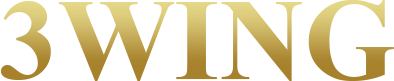 vn3wing Logo